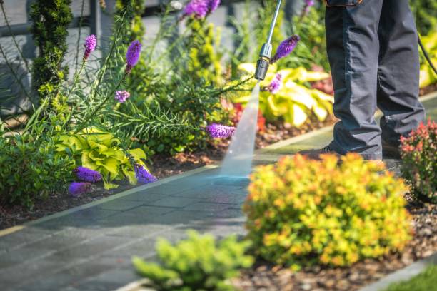 Trusted Glen Rose, TX Pressure Washing Services Experts