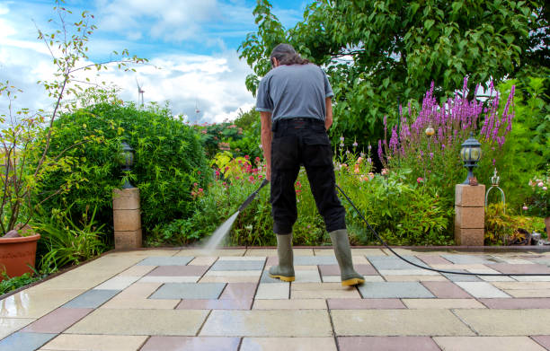 Best Animal Enclosure Cleaning  in Glen Rose, TX